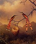 Two Hummingbirds with Their Young